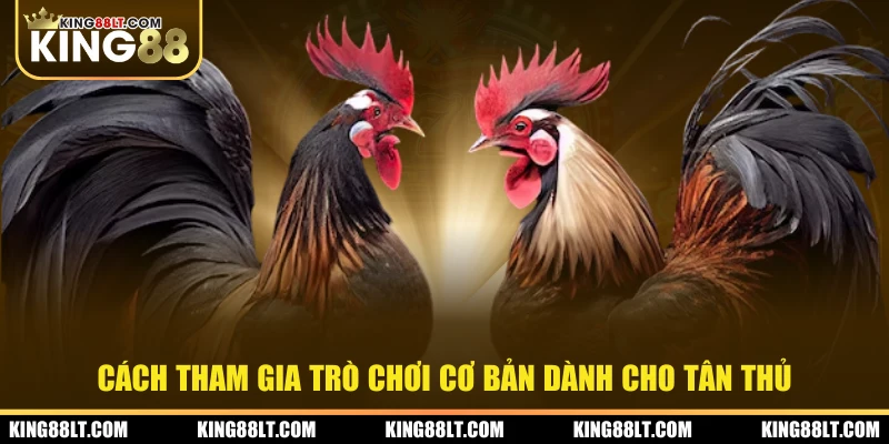 Cách tham gia trò chơi cơ bản dành cho tân thủ