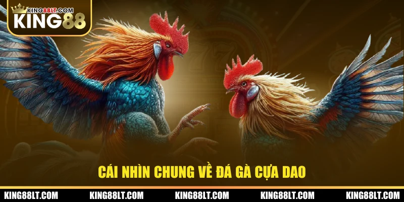 Cái nhìn chung về đá gà cựa dao