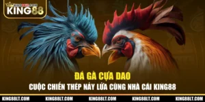 Đá Gà Cựa Dao - Cuộc chiến thép nảy lửa cùng nhà cái KING88