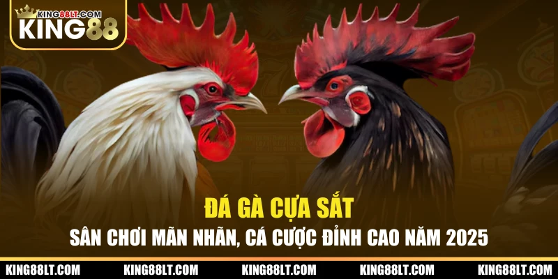 Đá Gà Cựa Sắt - Sân Chơi Mãn Nhãn, Cá Cược Đỉnh Cao Năm 2025