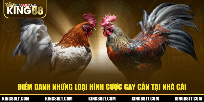 Điểm danh những hình thức cược gay cấn tại nhà cái