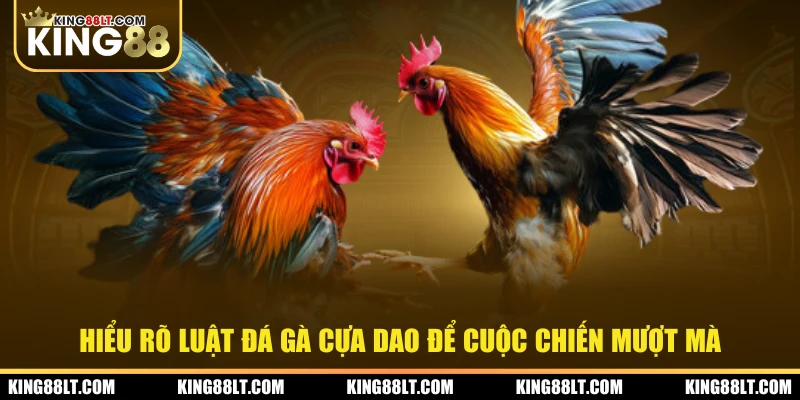 Hiểu rõ luật đá gà cựa dao để cuộc chiến mượt mà