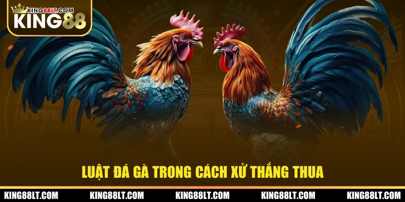 Luật đá gà trong cách xử thắng thua