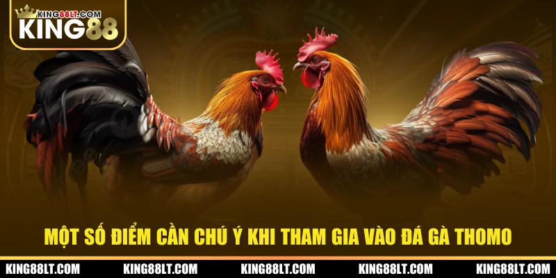 Một số điểm cần chú ý khi tham gia vào đá gà Thomo