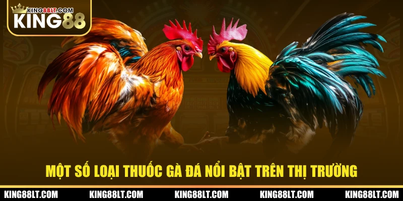 Một số loại thuốc gà đá nổi bật trên thị trường