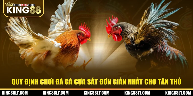 Quy định chơi đá gà cựa sắt đơn giản nhất cho tân thủ
