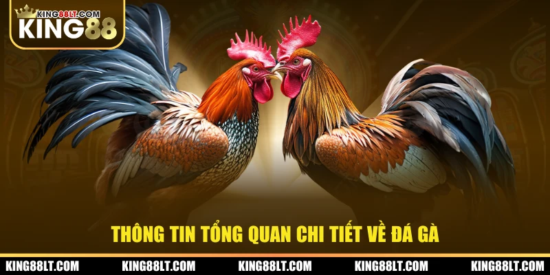 Thông tin tổng quan chi tiết về đá gà