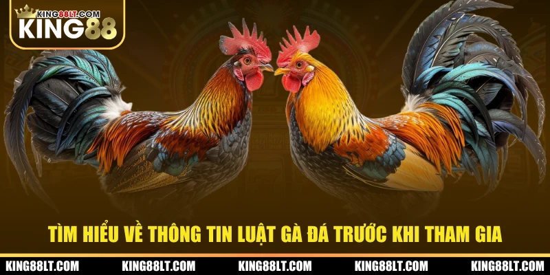 Tìm hiểu về thông tin luật gà đá trước khi tham gia